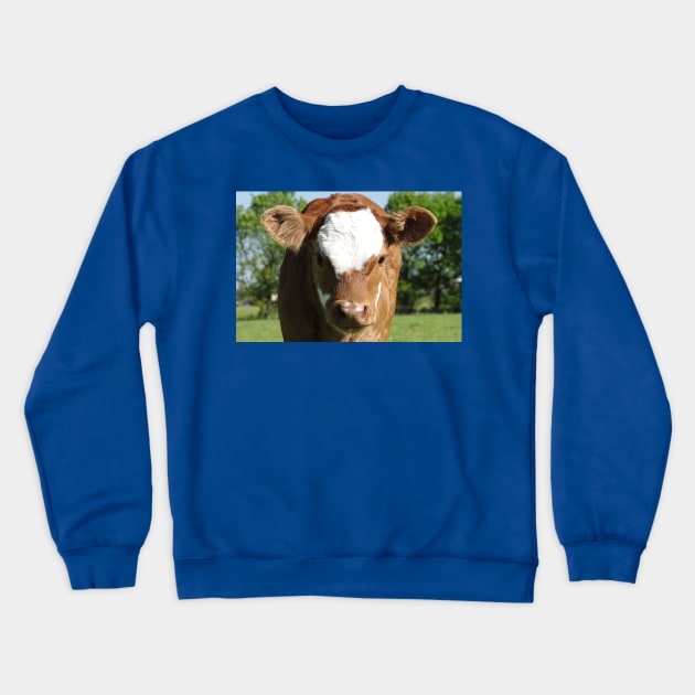 We're Seeing Eye to Eye Crewneck Sweatshirt by AH64D